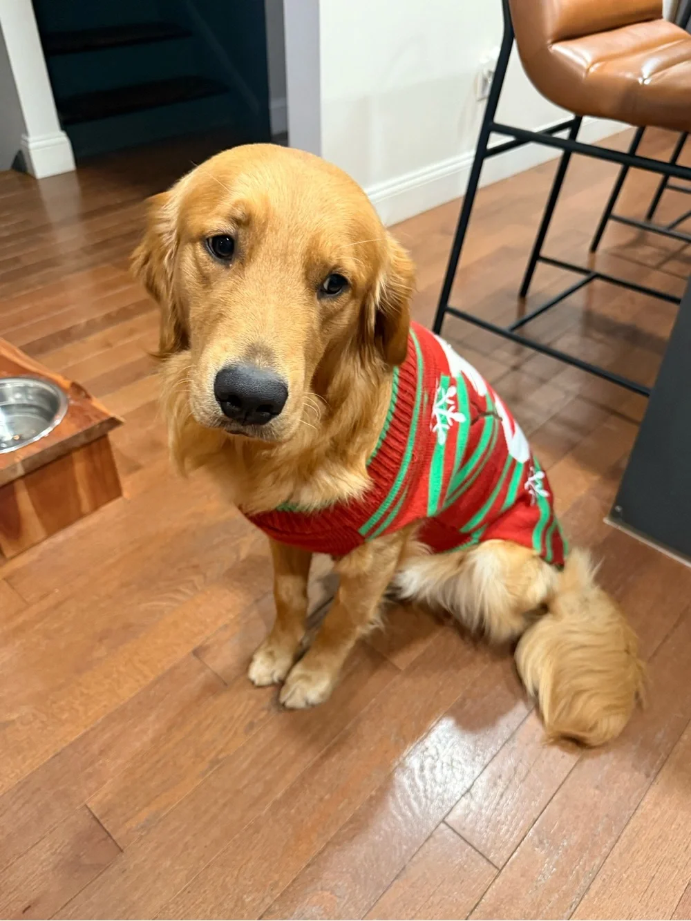 Lot of 3 - FuzzYard Holiday Dog Sweater and jammies- Medium-Large Dog